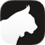 Krater.ai