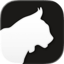 Krater.ai