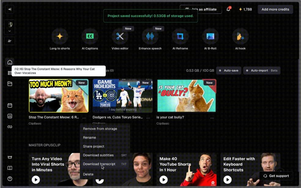 Opus Clip dashboard screenshot